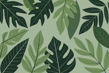 Fototapeta premium Lush composition of various tropical green leaves including monstera and palm fronds arranged on a soft sage background.