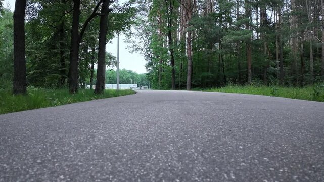 A man skates towards the camera at high speed from a low angle. The setting is a forest with trees along a path. The sunlight shines through the leaves.