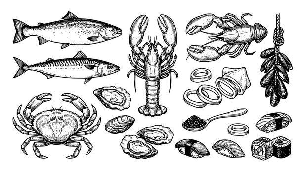 Vintage Hand Drawn Fresh Seafood and Japanese Sushi Engraving Vector Element Set for Seafood Restaurant Menus Fish Markets and Culinary Brand Identity Designs