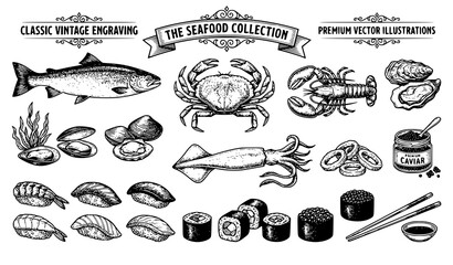 Vintage Hand Drawn Seafood and Sushi Engraving Vector Set with Fish Crab Lobster Squid and Clams for Restaurant Menu Designs and Food Packaging © Hosneara