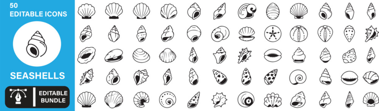 Premium Seashell Outline Icon Set &ndash; Modern Marine Shell Vector Bundle, Ocean Beach UI Line Icons Collection, Editable Monoline Flat Design for Web, App & Print