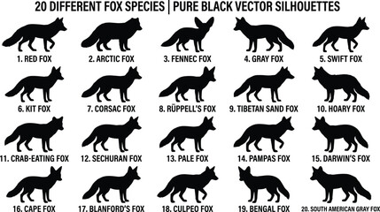 Fototapeta premium Fox Species Silhouette Set: 20 Different Foxes Including Red Fox, Arctic Fox, and Fennec Fox Vector Illustration