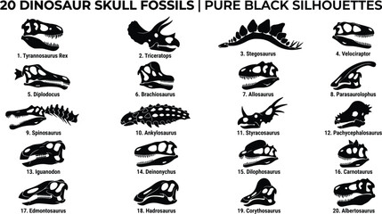 20 Dinosaur Skull Fossil Silhouettes Vector Collection © Hello World