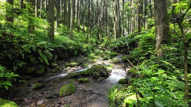 五常の滝の川の流れ