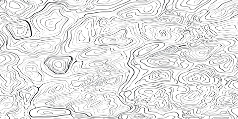 Geological map contour lines abstract background design with topographic geography elevation cartography abstract background landscape topography navigation geological geospatial monochrome © MOHAMAD
