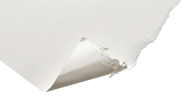 A single sheet of paper with a curled corner