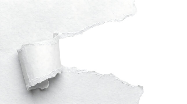 Torn white paper hole with curled edges