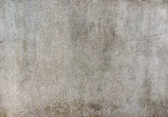 Fototapeta premium Rough surface of concrete wall for background design.
