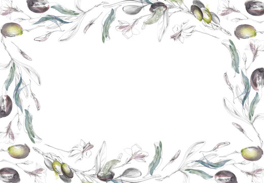 Border frame of olive foliage, ripe fruit, bay laurel, eucalyptus branches hand drawn in pencil and watercolor. Mediterranean branding, hospitality graphics, recipe journals, specialty food products.