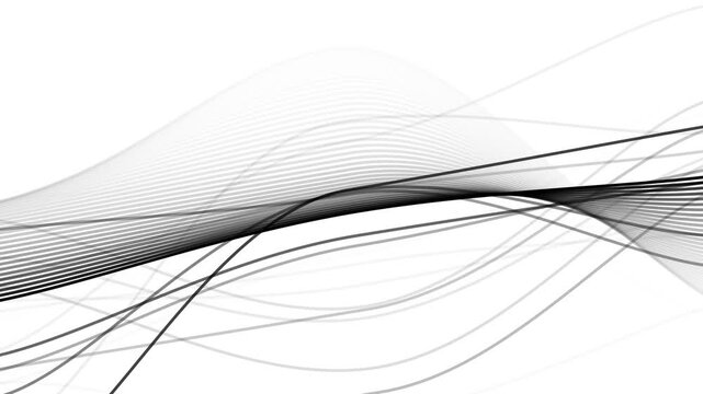 Abstract smooth wavy black lines animation on white background seamless loop