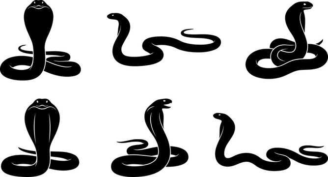 Venomous cobra snake silhouettes pack showcasing various coiled and upright defensive postures