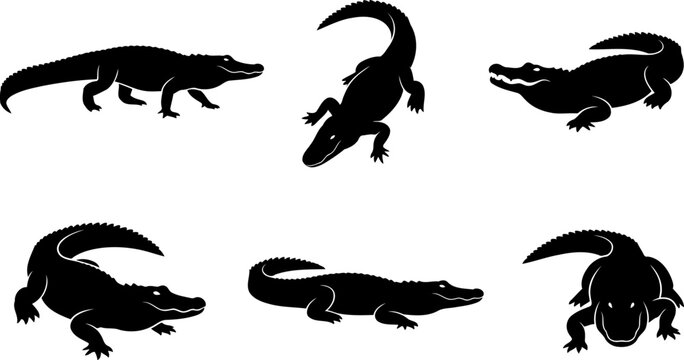 Wild alligator and crocodile reptile pack showing multiple active poses in silhouette