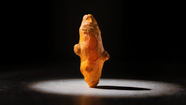 Fresh raw turmeric root in dramatic studio spotlight