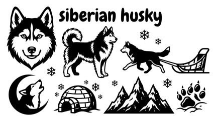 beautiful siberian husky standing across a snowy mountain landscape with pine forests frozen trails winter scenery and dramatic alpine surroundings creating a natural cold weather habitat © Ethan