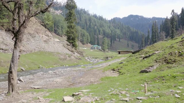 Aerial tracking shot over green meadows, dirt trail, and mountain stream in Jai Valley Himalayas.