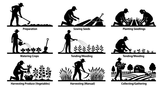 Farming and Gardening Steps Vector Icons: Preparation, Sowing, Planting, Watering, Weeding, Harvesting, Collecting Produce, Rural Farm Scene with Barn and Tractor