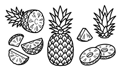 Fototapeta premium Pineapple Fruit Line Art Icon Set Vector