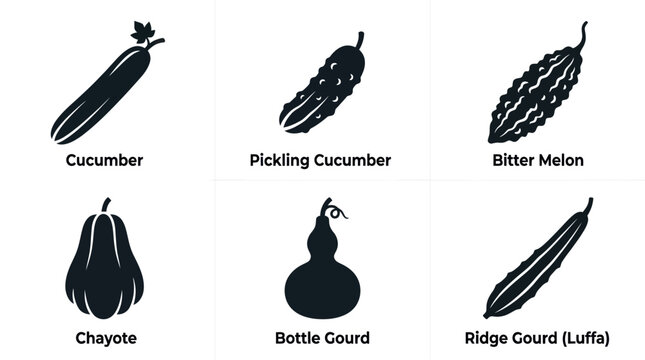 Flat vector icon set featuring six cucurbit vegetables: Cucumber, Pickling cucumber, Bitter melon, Chayote, Bottle gourd, Ridge gourd