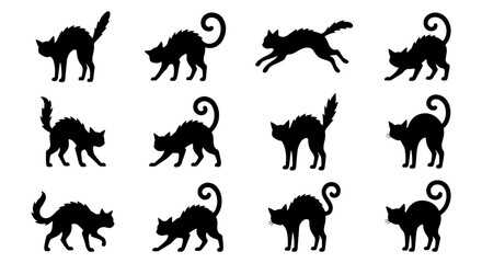 Obraz premium Black Cat Silhouettes Vector Set, Spooky Halloween Feline Poses, Mysterious Animal Icons for Design
