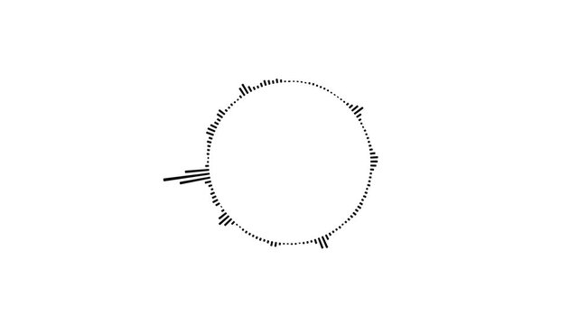 4K video circle audio spectrum loop with sharp frequency, Black circle audio wave spectrum lines animation on white background.
Spectrum audio visualizer circle equalizer music beat wave animation.
