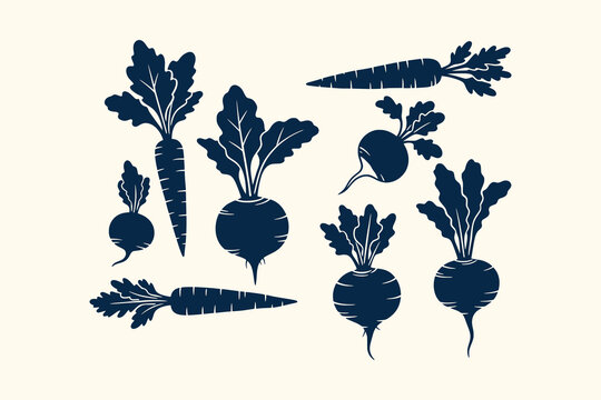 Vintage Silhouette Illustration of Fresh Root Vegetables Including Carrots and Beets for Gardening