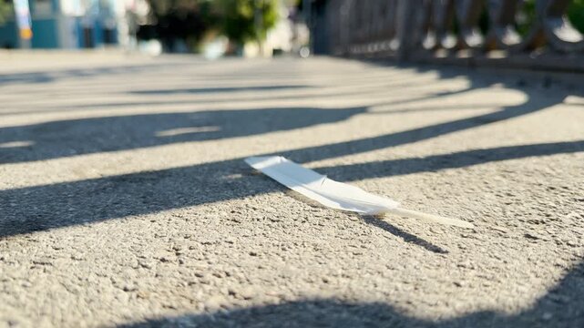 A white feather lies quietly on a sunny sidewalk in Simferopol, Crimea. This delicate object creates a peaceful, lonely, and gentle feeling on the empty street.