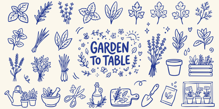 Hand drawn botanical illustrations of fresh herbs and gardening tools with a central 'Garden to Table' phrase in a clean blue linework style