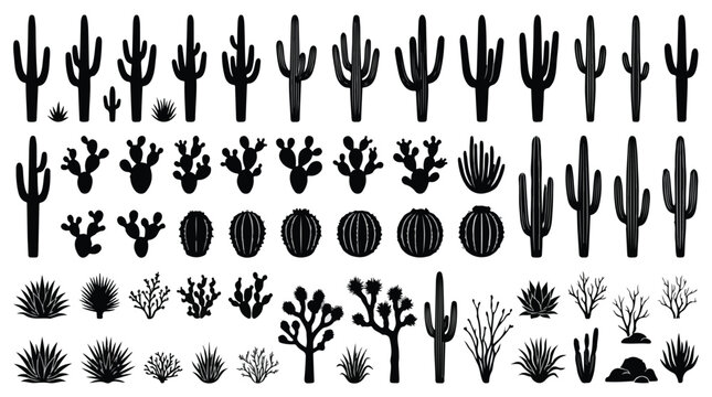 Desert cactus silhouette collection, black succulent plant icons set, saguaro and prickly pear vector elements, arid wilderness nature graphics