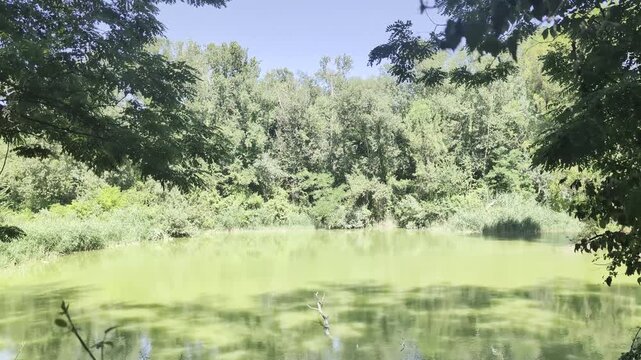 Laghetto immerso nel verde all&rsquo;Abbadia di Fiastra, circondato da alberi e vegetazione rigogliosa, con acqua dalle tonalit&agrave; naturali e atmosfera tranquilla