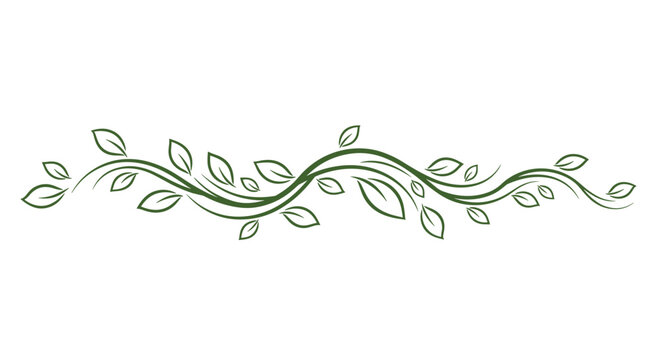 Elegant green vine divider with delicate swirling leaves and branches hand-drawn on a clean white background.