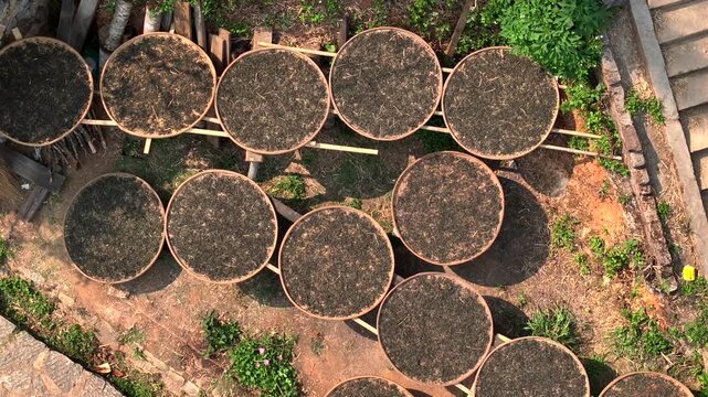 Fresh picked Tea is being dried on a street in Round Tea withering tray. Nuogang Village in Puer, Yunnan, China. Aerial 