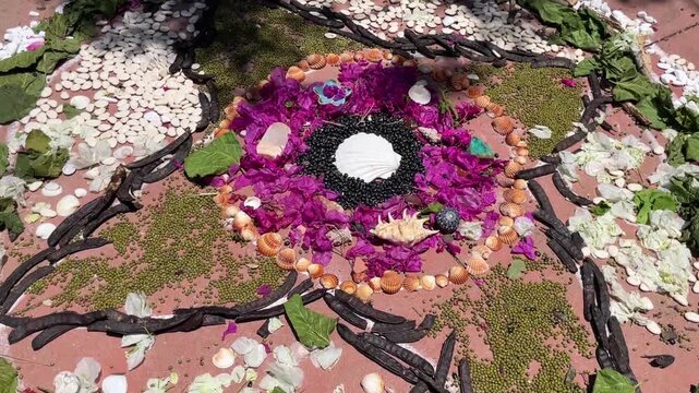Decorative mandala artwork made from natural seashells, purple flowers, seeds and leaves arranged in symmetrical pattern outdoors
