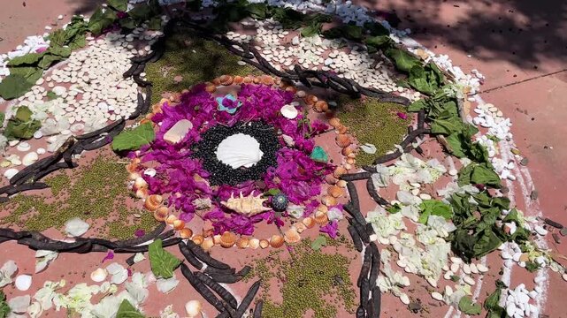 Elaborate mandala design created from seashells, purple flower petals, seeds, pods and leaves arranged on ground outdoors
