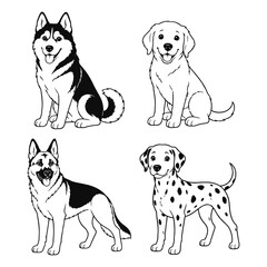 Working and active dog breeds set featuring siberian husky golden retriever german shepherd and dalmatian in sitting and standing poses. © Sujon Hasan