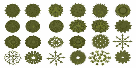 Trees From Above Vector Illustrations Green Foliage And Branch Patterns © Polash