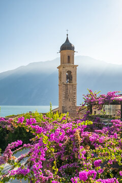 Church Bell Tower and Bougainvillea Flowers, Limone sul Garda, Italy