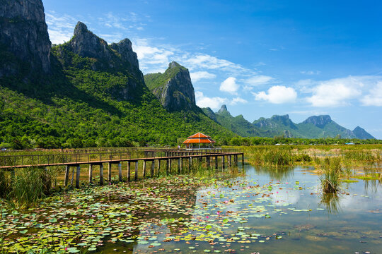 Thung Sam Roi Yot Freshwater Marsh.
