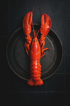 Whole cooked red lobster served on a vintage metal round tray over tiled background.