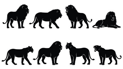 Lion silhouette vector illustration collection featuring male lions with mane and lionesses in walking, standing, roaring, lying poses, wildlife, strength, majestic animal art © Stockify