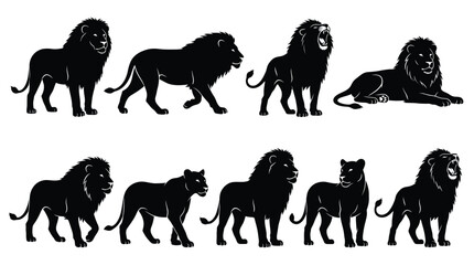Lion silhouette vector illustration collection featuring male lions with mane and lionesses in walking, standing, roaring, lying poses, wildlife, strength, majestic animal art © Stockify