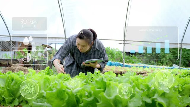 Young female farmer using a tablet to monitor organic crops in a smart greenhouse with digital technology data overlays, representing precision farming, agriculture innovation, and data-driven crop ma