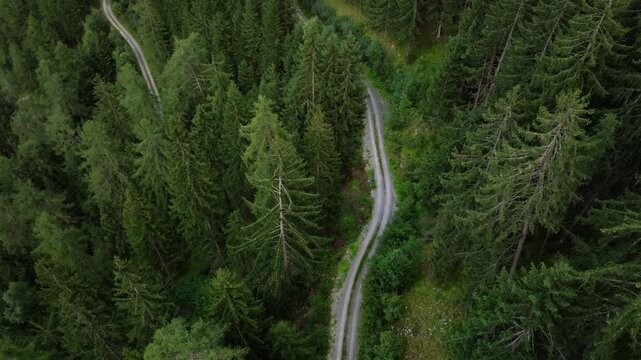 Drone panorama of serpentine alpine roads in Tyrol Austria crossing rugged mountain slopes dense pine forests and breathtaking natural scenery for tourism