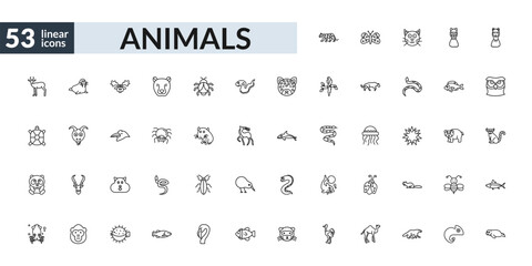 outline animals icons set - snow leopard, spider, wombat, seal. editable vector for web and mobile ui © IconArt