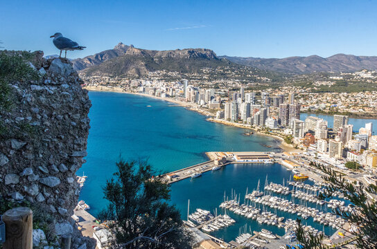 Panoramic view of Calpe, Alicante, from the ascent to Pe&ntilde;&oacute;n de Ifach, overlooking the Mediterranean coastline, marina, sandy beaches, and the surrounding mountains under a clear blue sky.