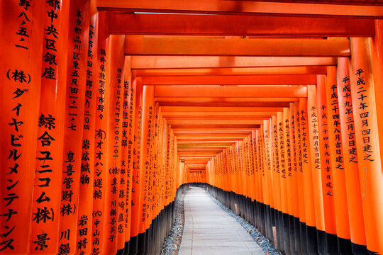 Fushimi Inari shrine with thousands of red torii gates in Kyoto, Japan