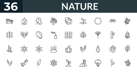 outline nature icons set - palm islands, flame, bamboo sticks, cordate. editable vector for web and mobile ui © IconArt