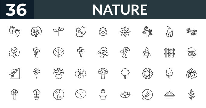 outline nature icons set - four toe footprint, american hornbeam tree, picket fence, iris. editable vector for web and mobile ui