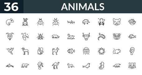 outline animals icons set - chameleon, kangaroo, panda bear, flamingo. editable vector for web and mobile ui © IconArt