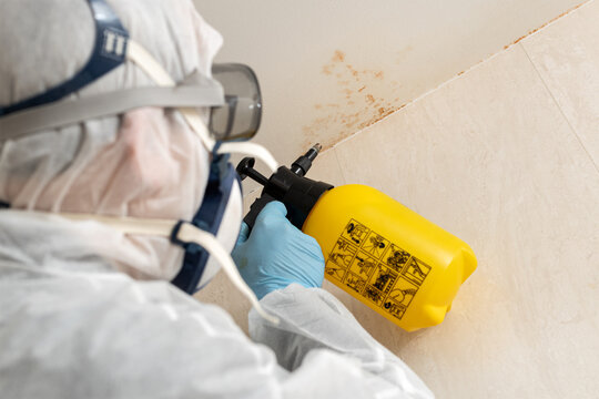Professional cleaning worker cleaning mold in a bathroom wearing a protective suit