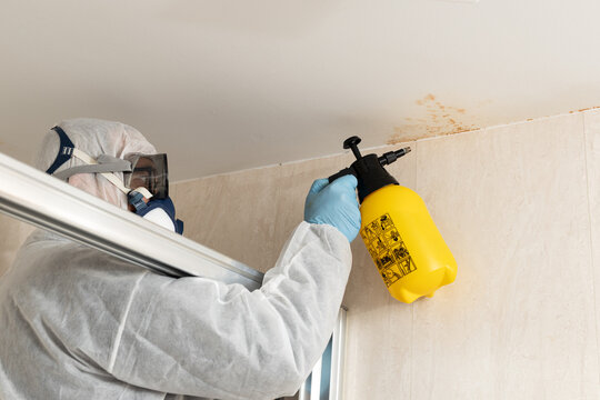 Professional cleaning worker cleaning mold in a bathroom wearing a protective suit